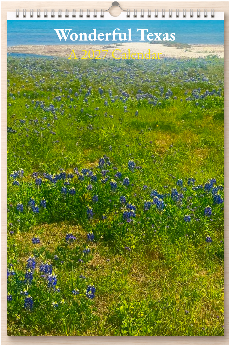 Wonderful Texas: A 2027 Calendar