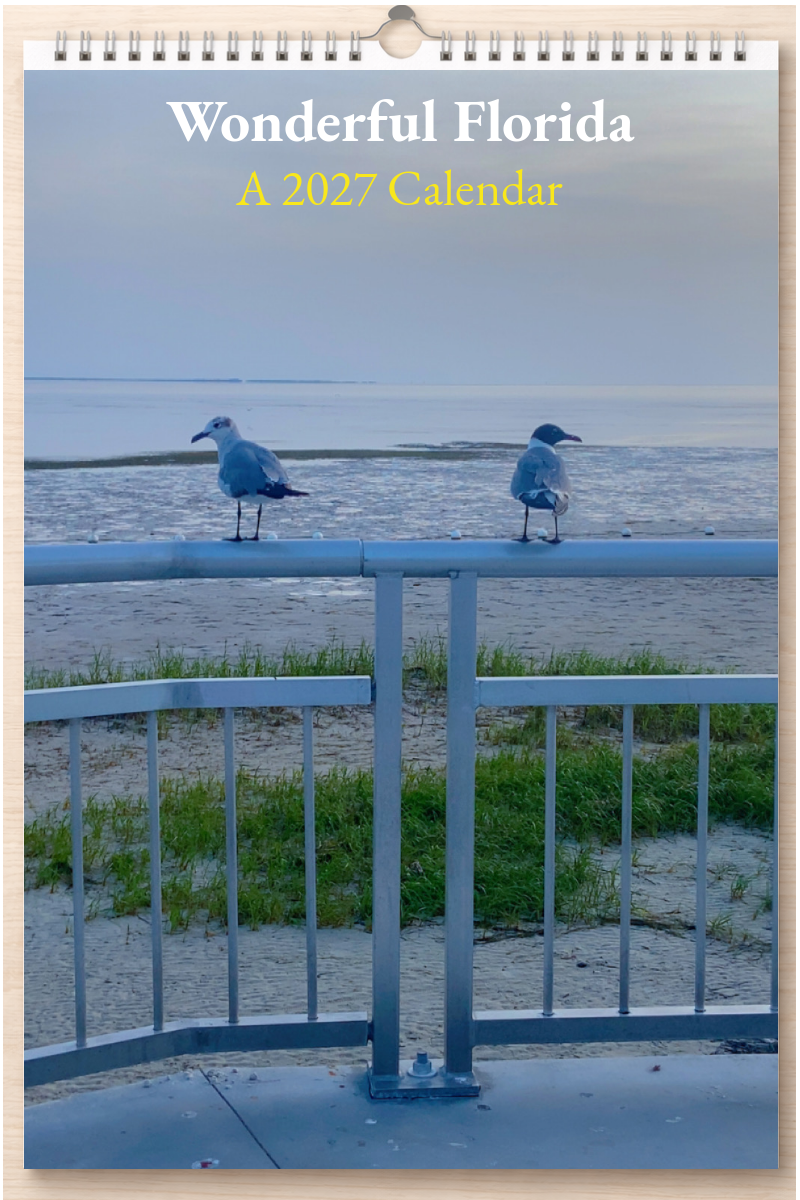 Wonderful Florida: A 2027 Calendar