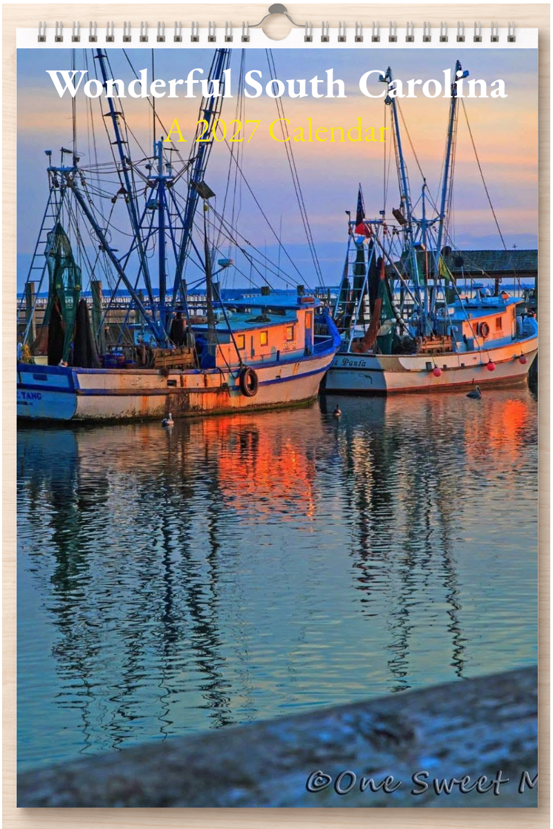 Wonderful South Carolina: A 2027 Calendar