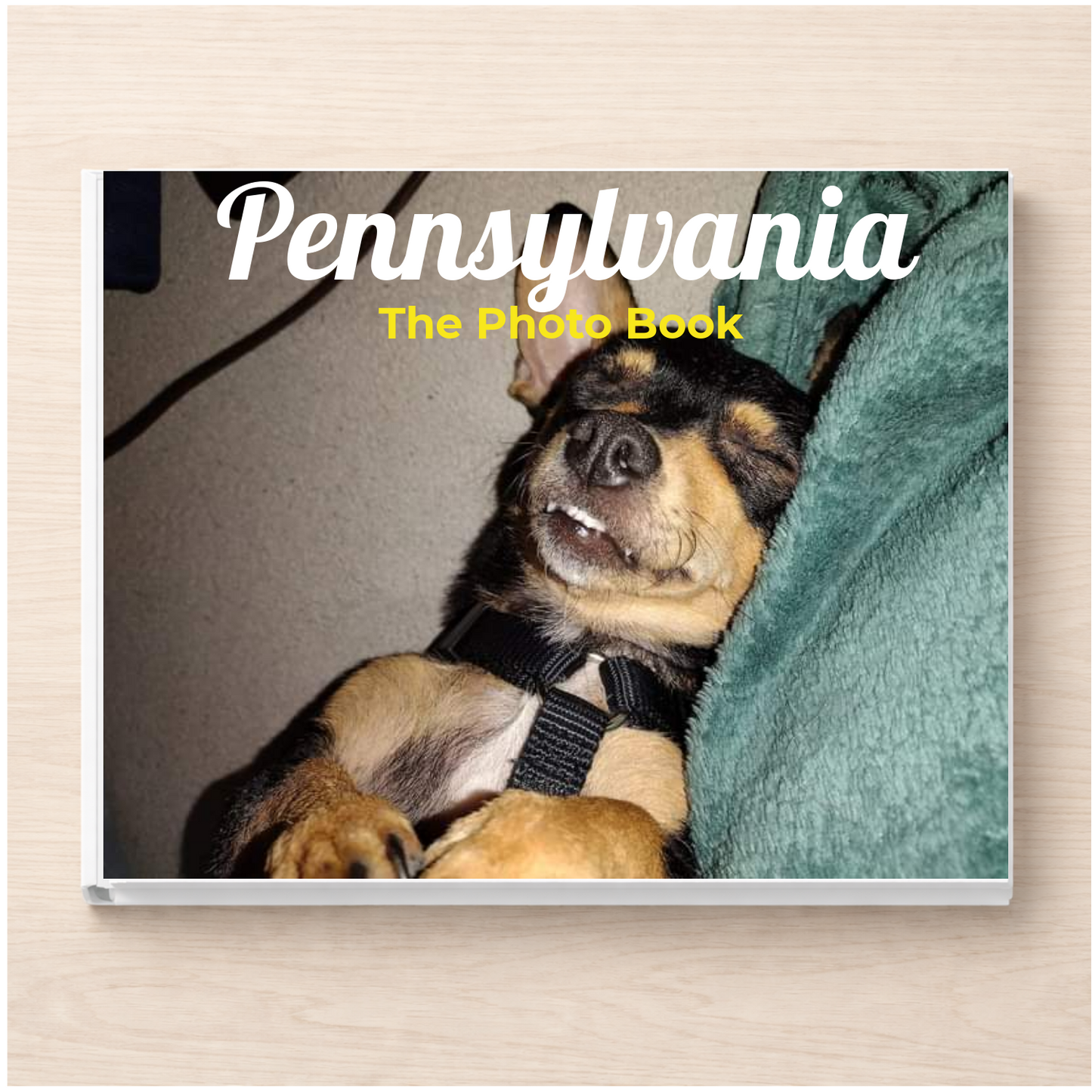 Pennsylvania: The Photo Book
