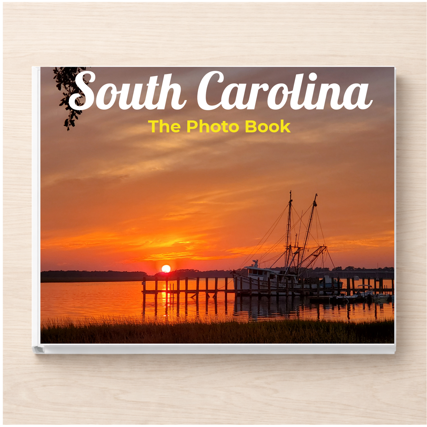 South Carolina: The Photo Book
