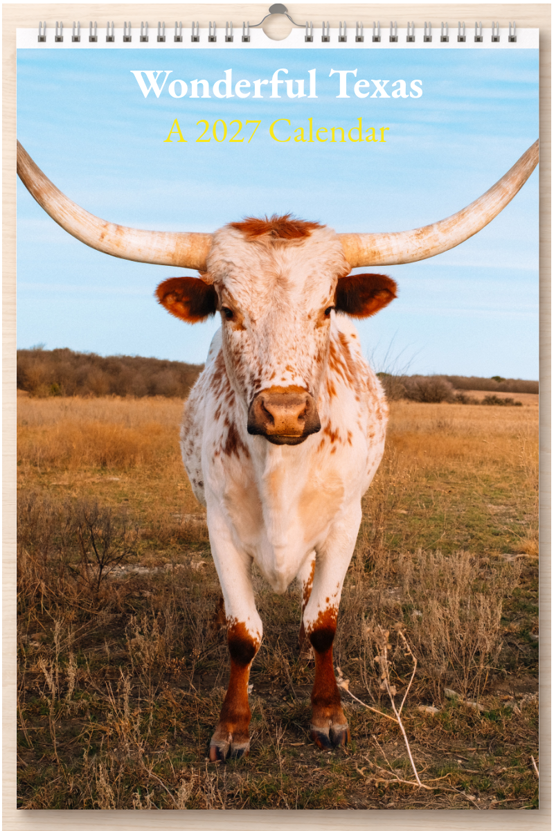 Wonderful Texas: A 2027 Calendar