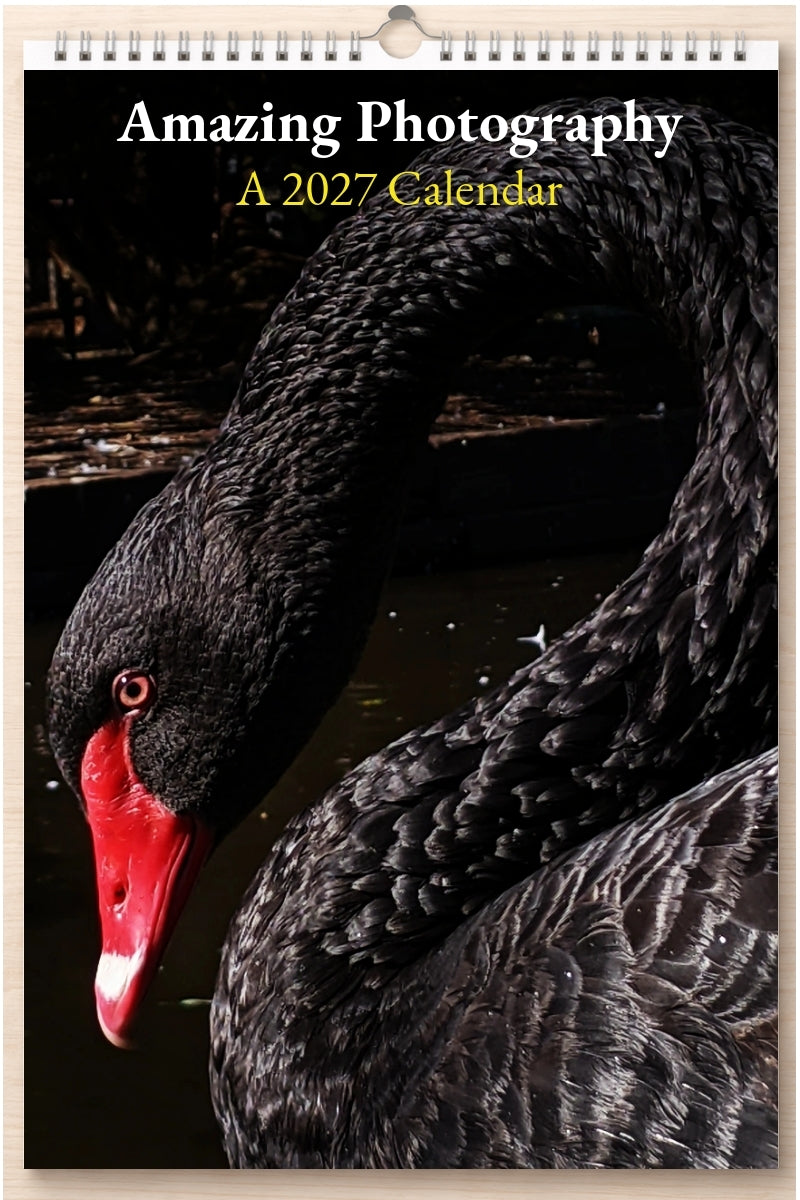 Amazing Photography: A 2027 Calendar