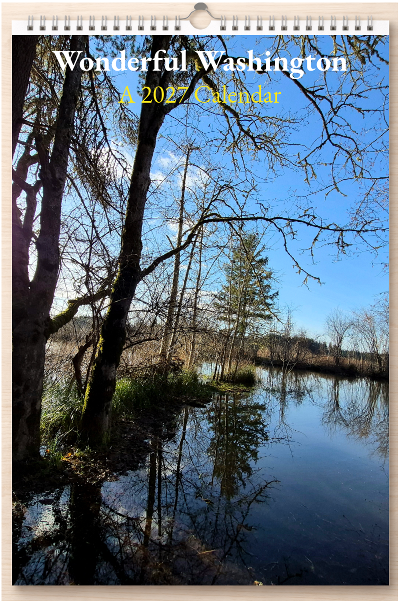 Wonderful Washington: A 2027 Calendar