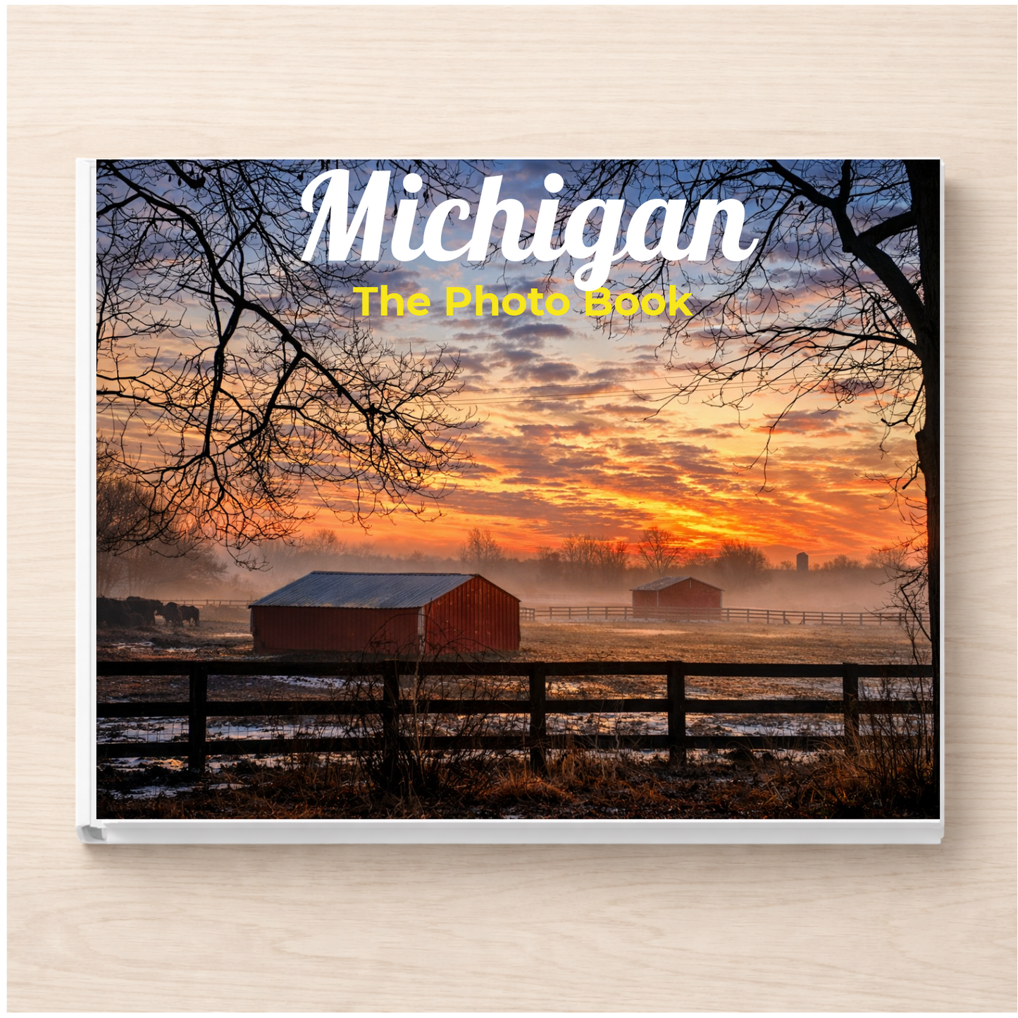 Michigan: The Photo Book