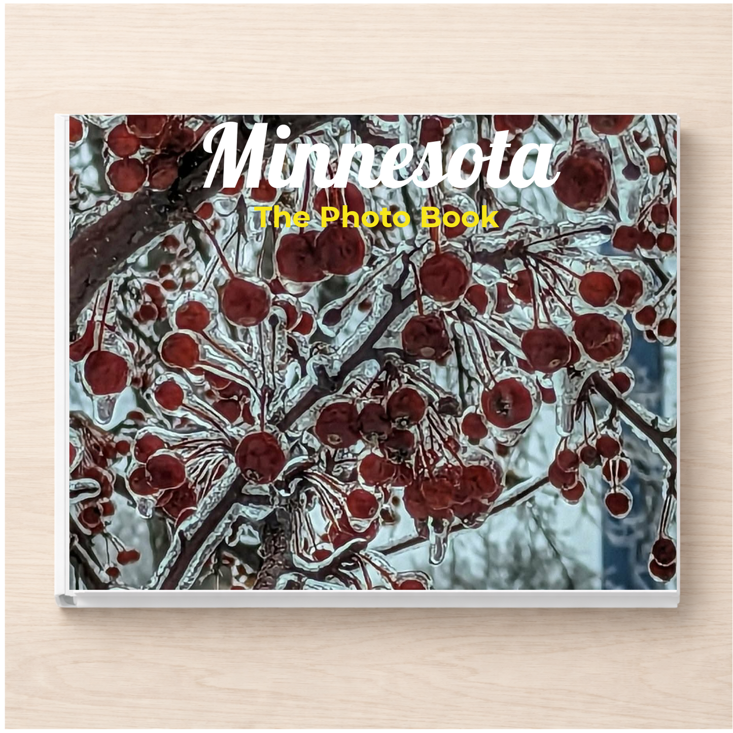 Minnesota: The Photo Book