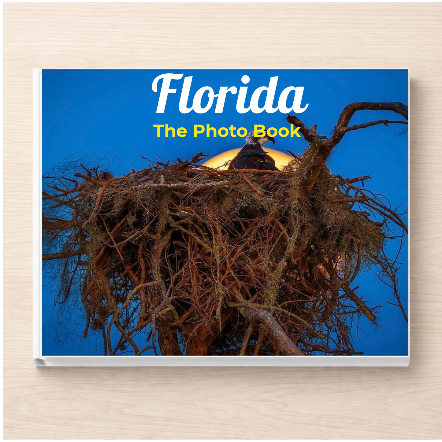 Florida: The Photo Book