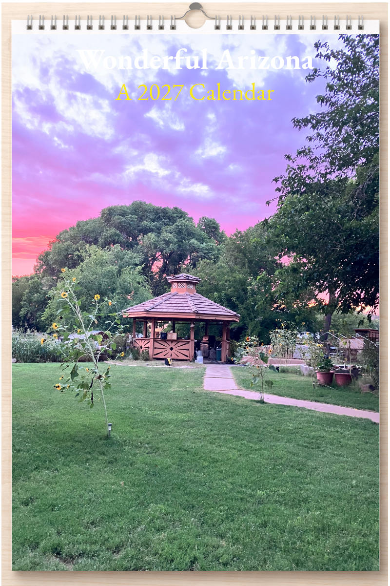 Wonderful Arizona: A 2027 Calendar