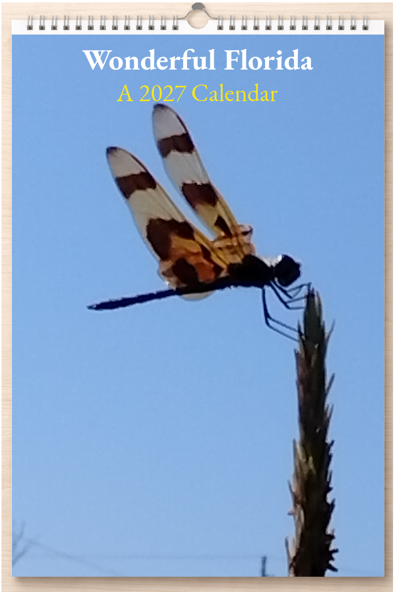 Wonderful Florida: A 2027 Calendar
