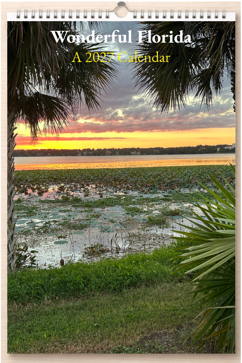 Wonderful Florida: A 2027 Calendar
