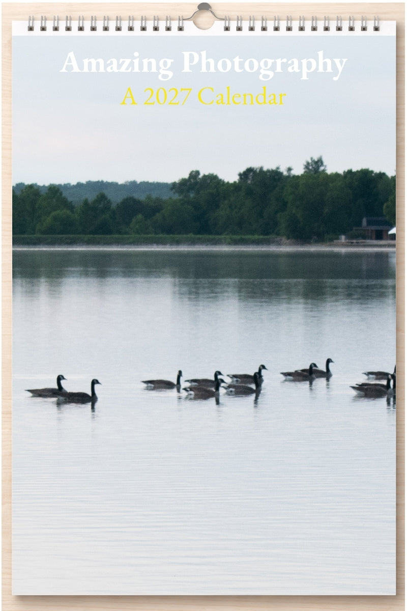 Amazing Photography: A 2027 Calendar