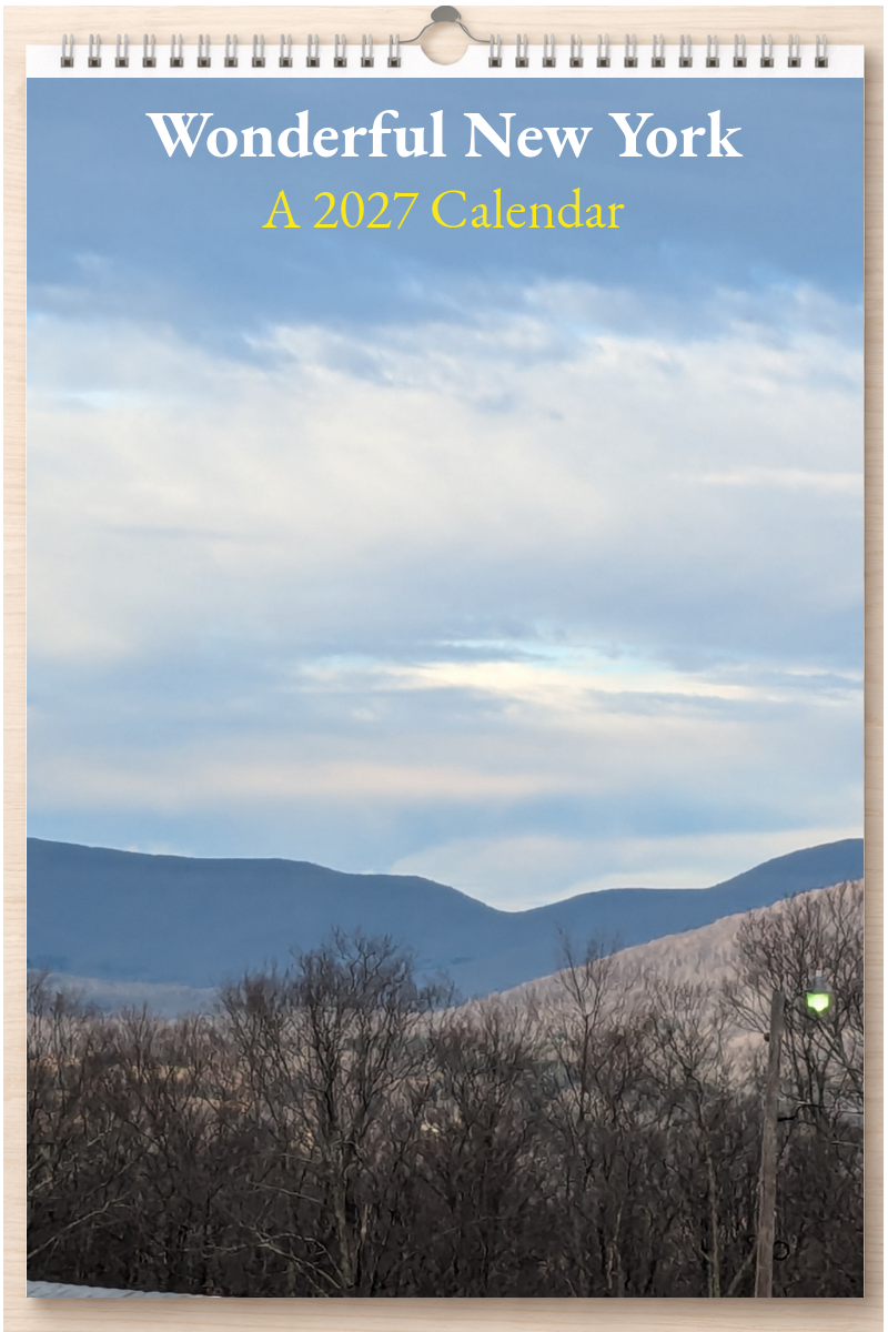 Wonderful New York: A 2027 Calendar