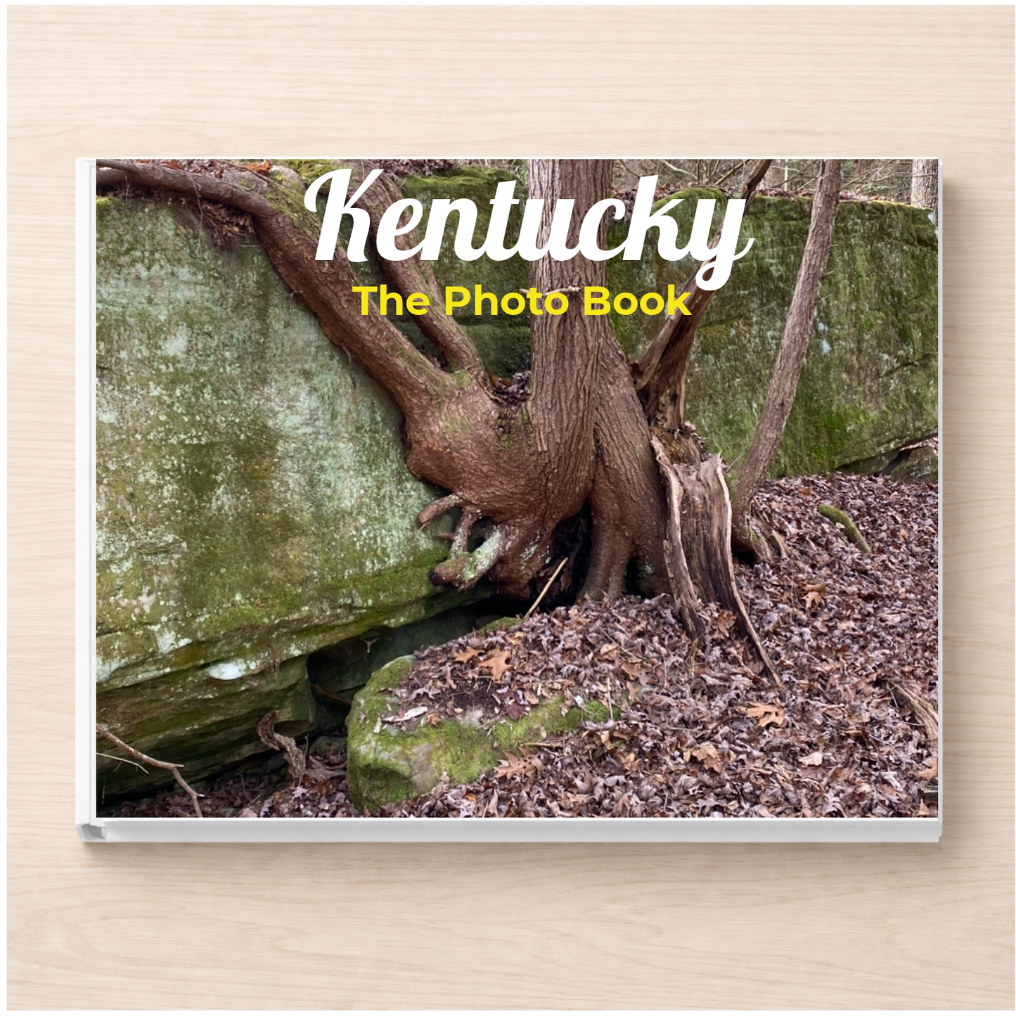 Kentucky: The Photo Book