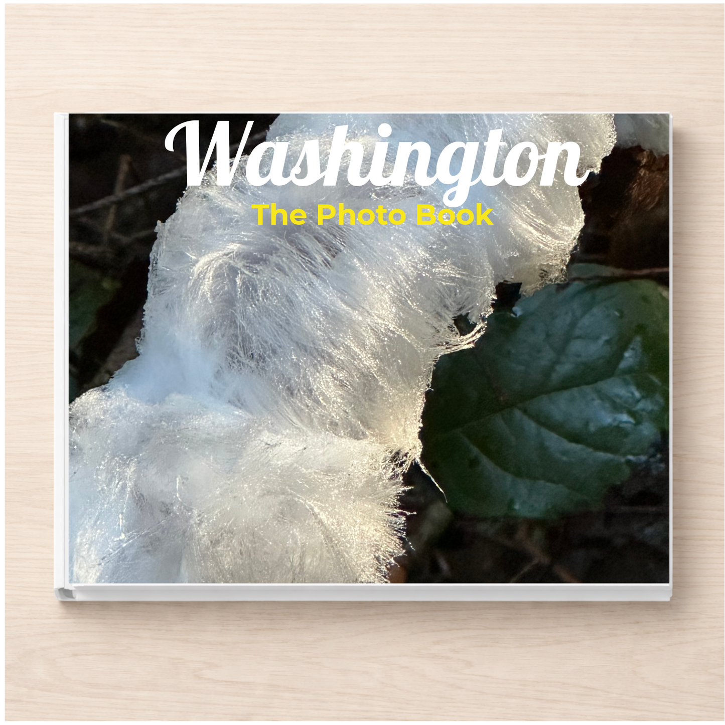Washington: The Photo Book