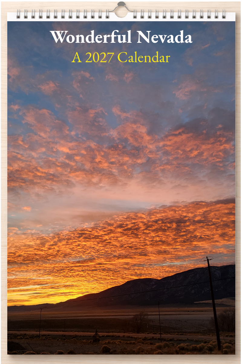 Wonderful Nevada: A 2027 Calendar
