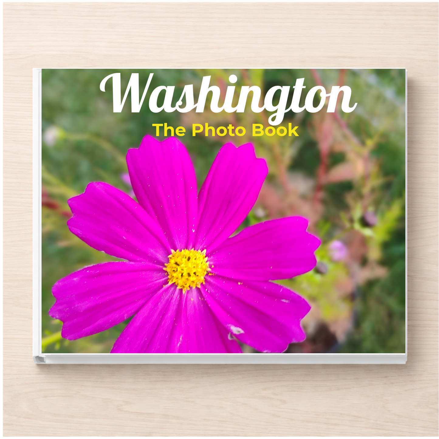 Washington: The Photo Book