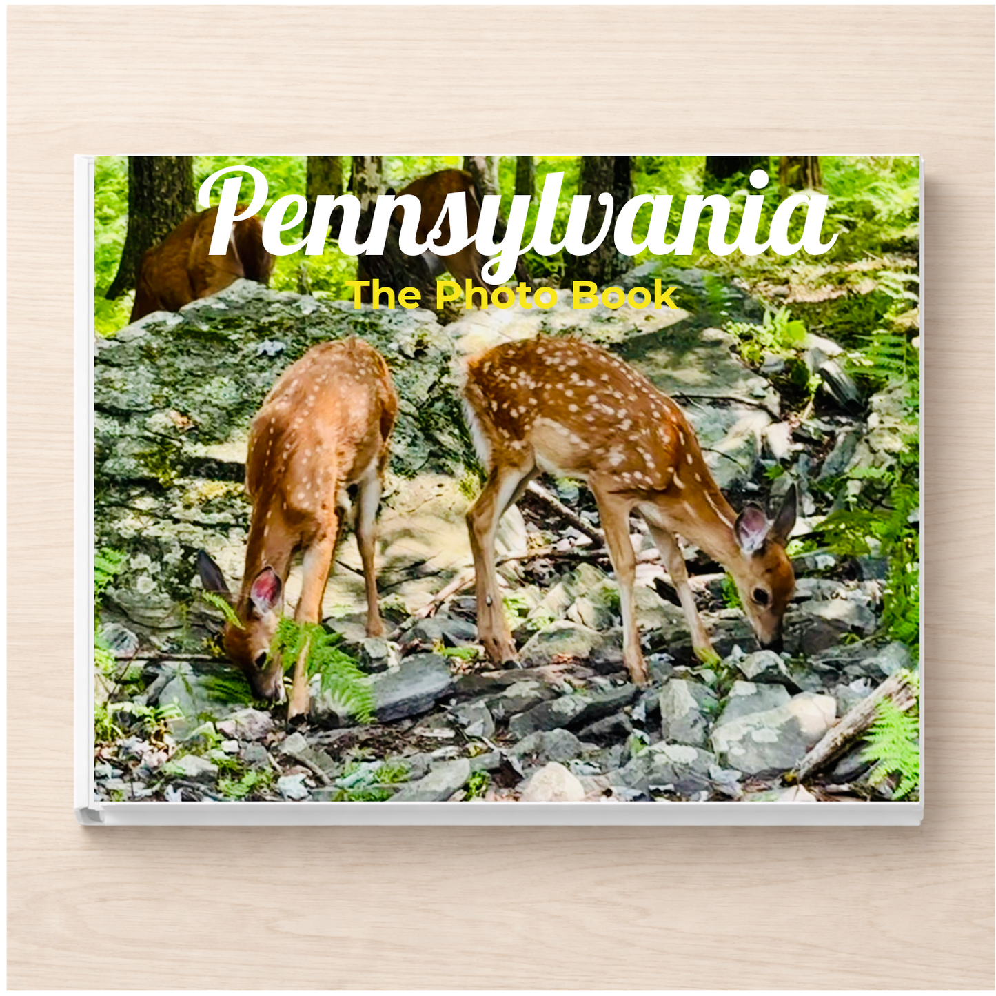 Pennsylvania: The Photo Book