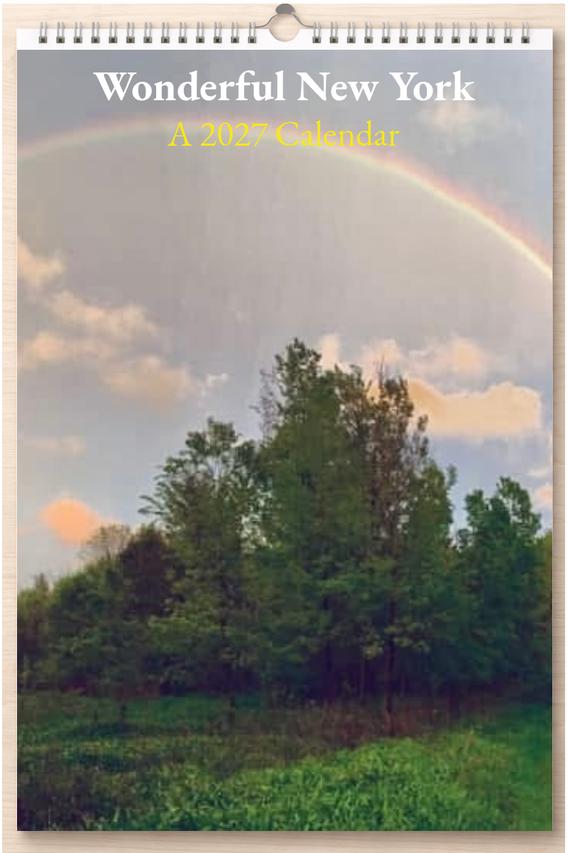 Wonderful New York: A 2027 Calendar