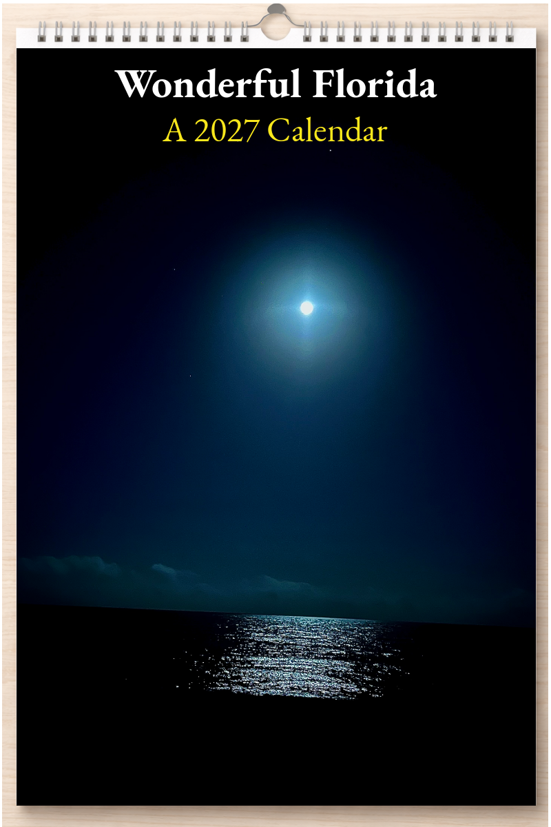 Wonderful Florida: A 2027 Calendar
