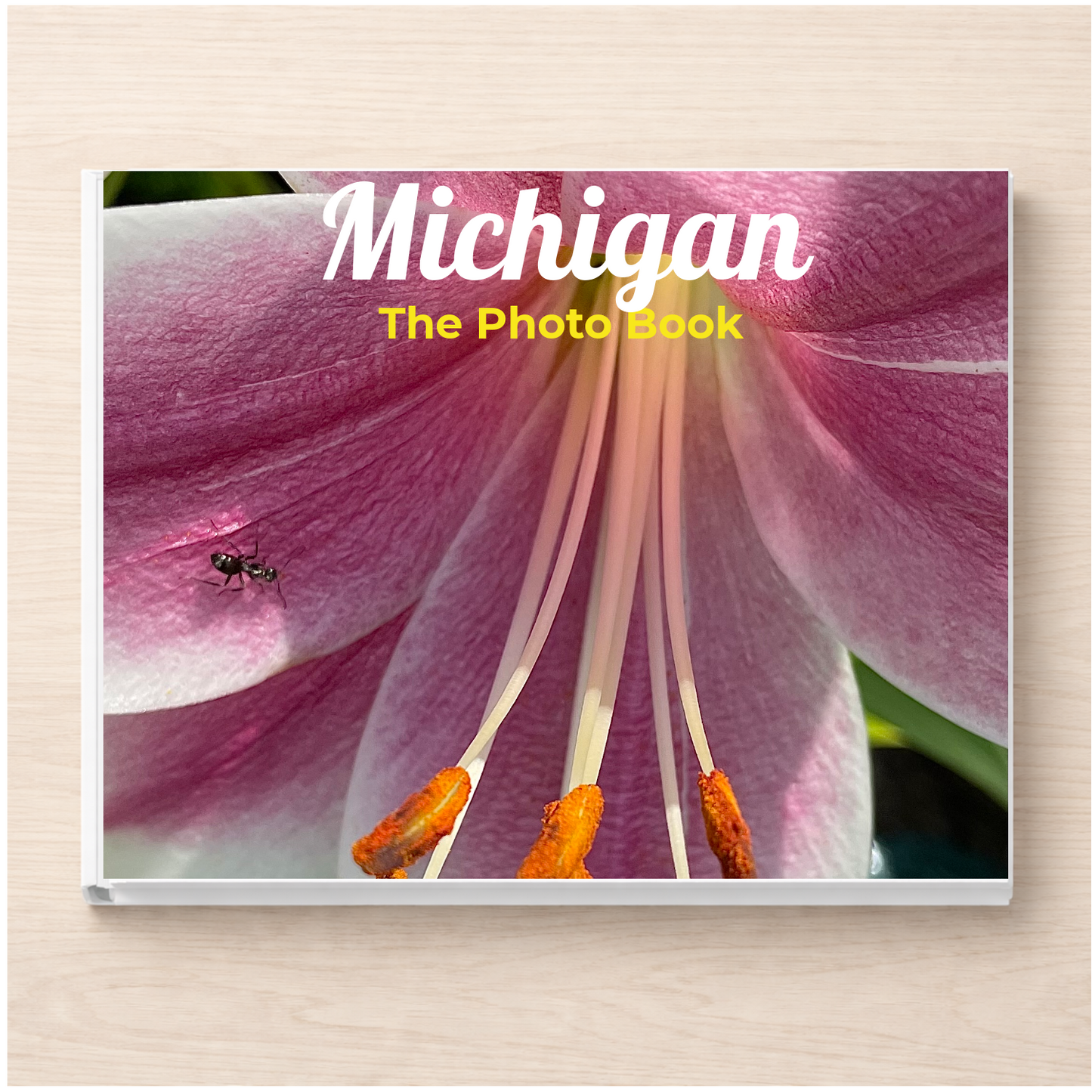 Michigan: The Photo Book