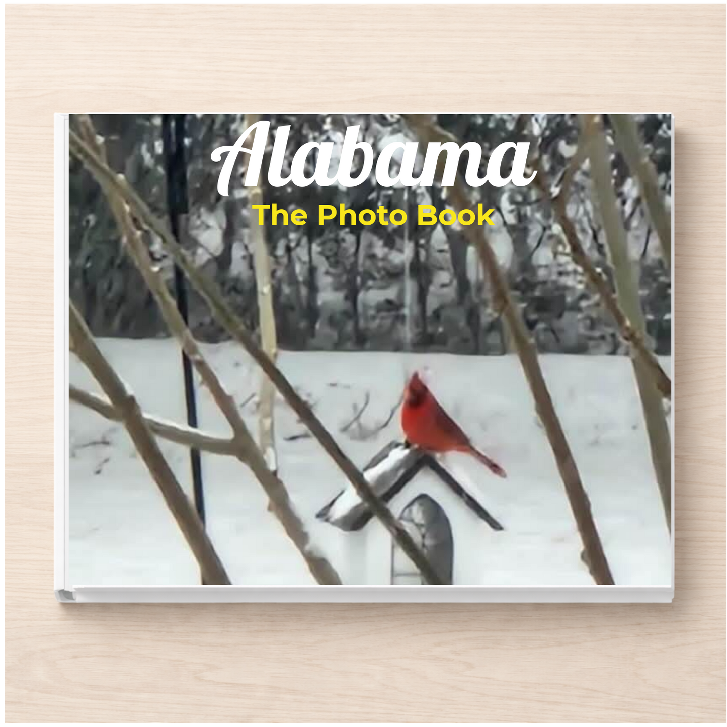 Alabama: The Photo Book