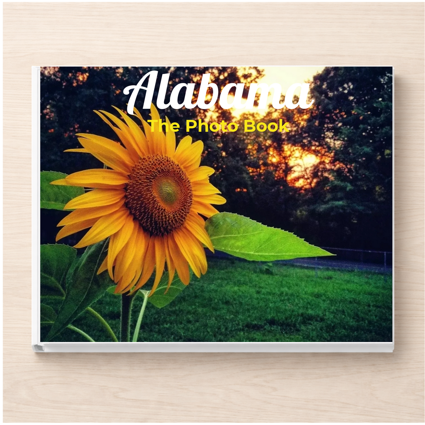 Alabama: The Photo Book