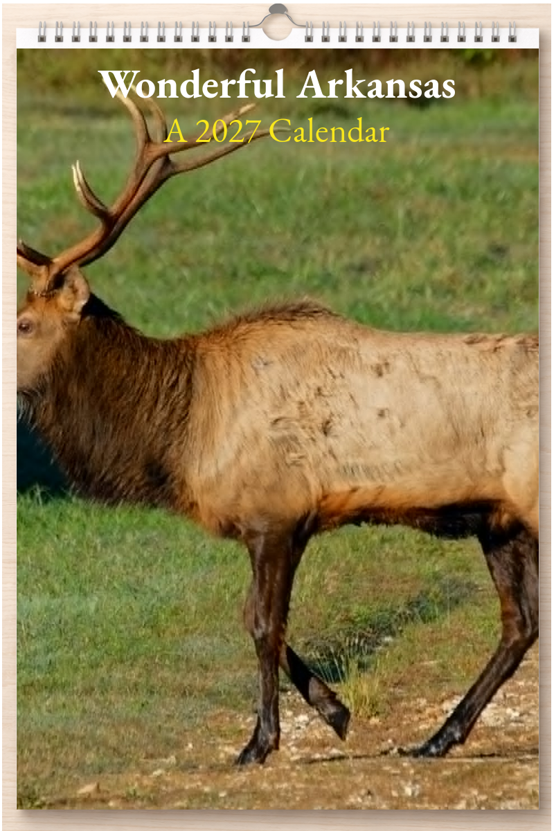 Wonderful Arkansas: A 2027 Calendar