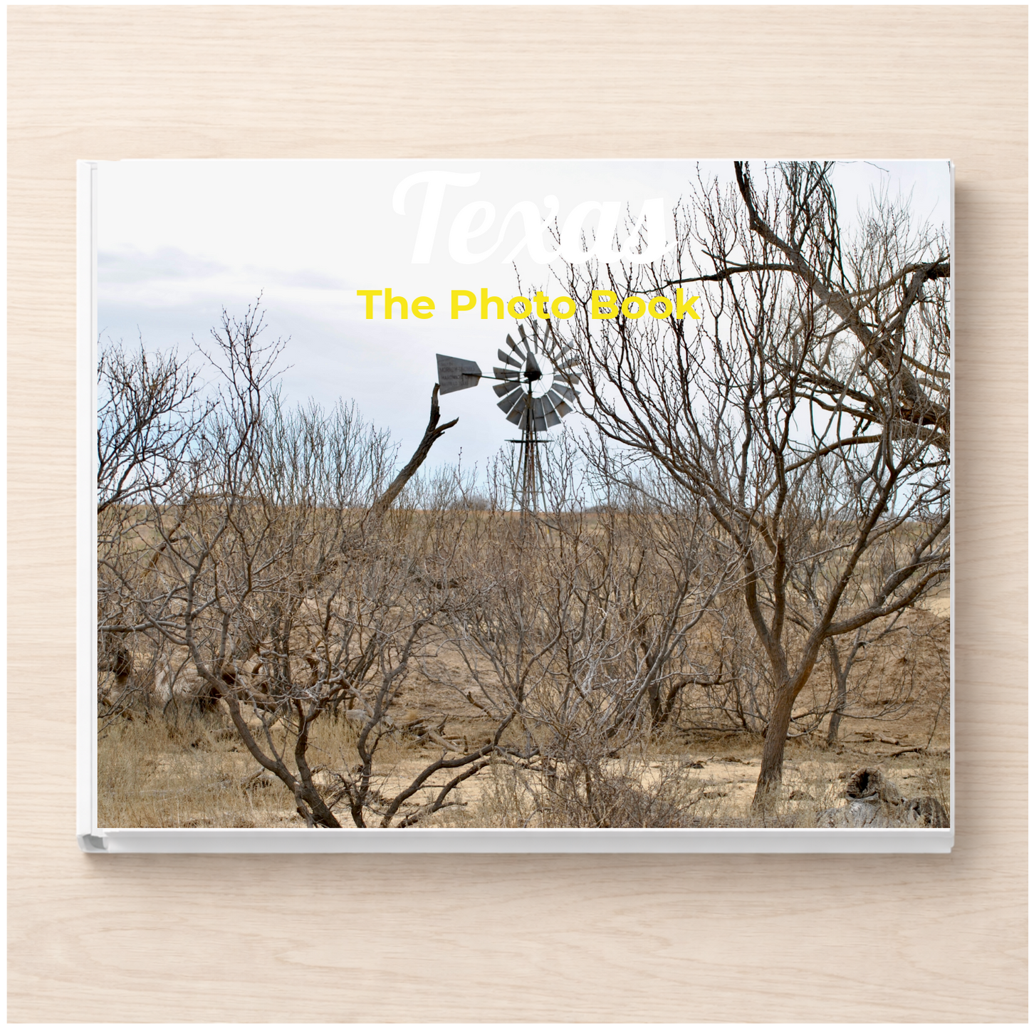 Texas: The Photo Book