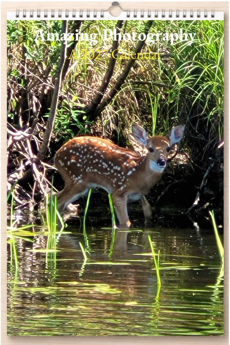 Amazing Photography: A 2027 Calendar