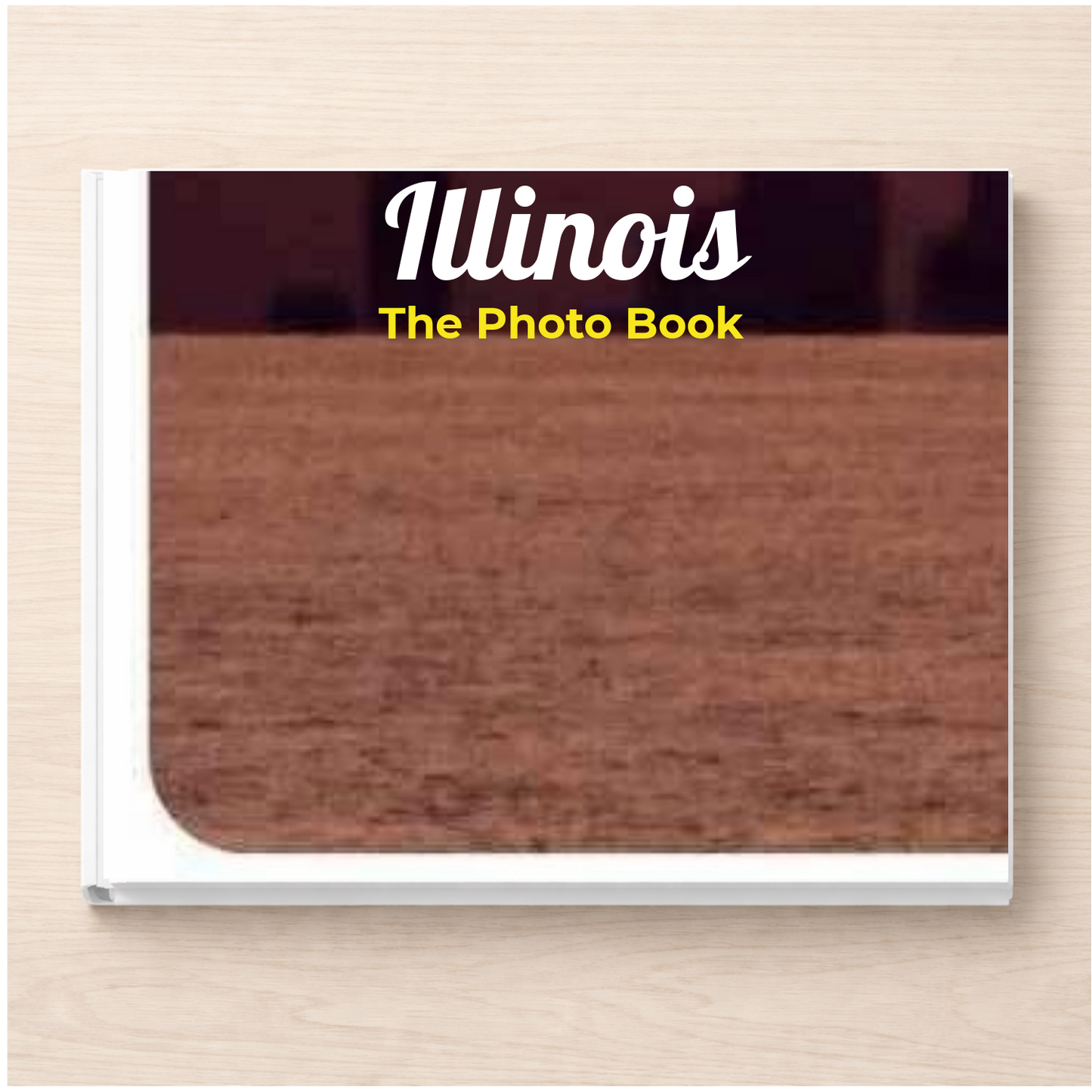 Illinois: The Photo Book