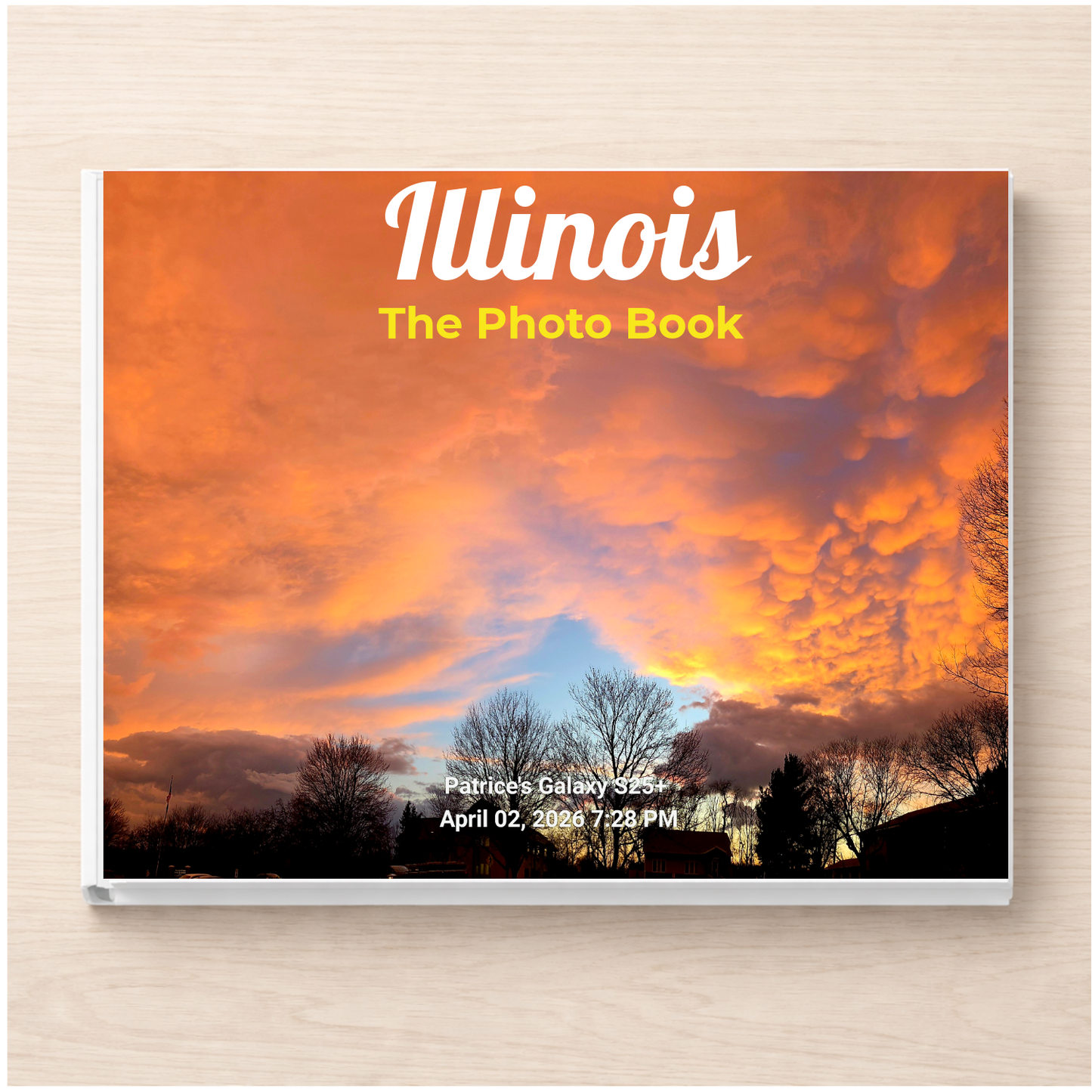 Illinois: The Photo Book
