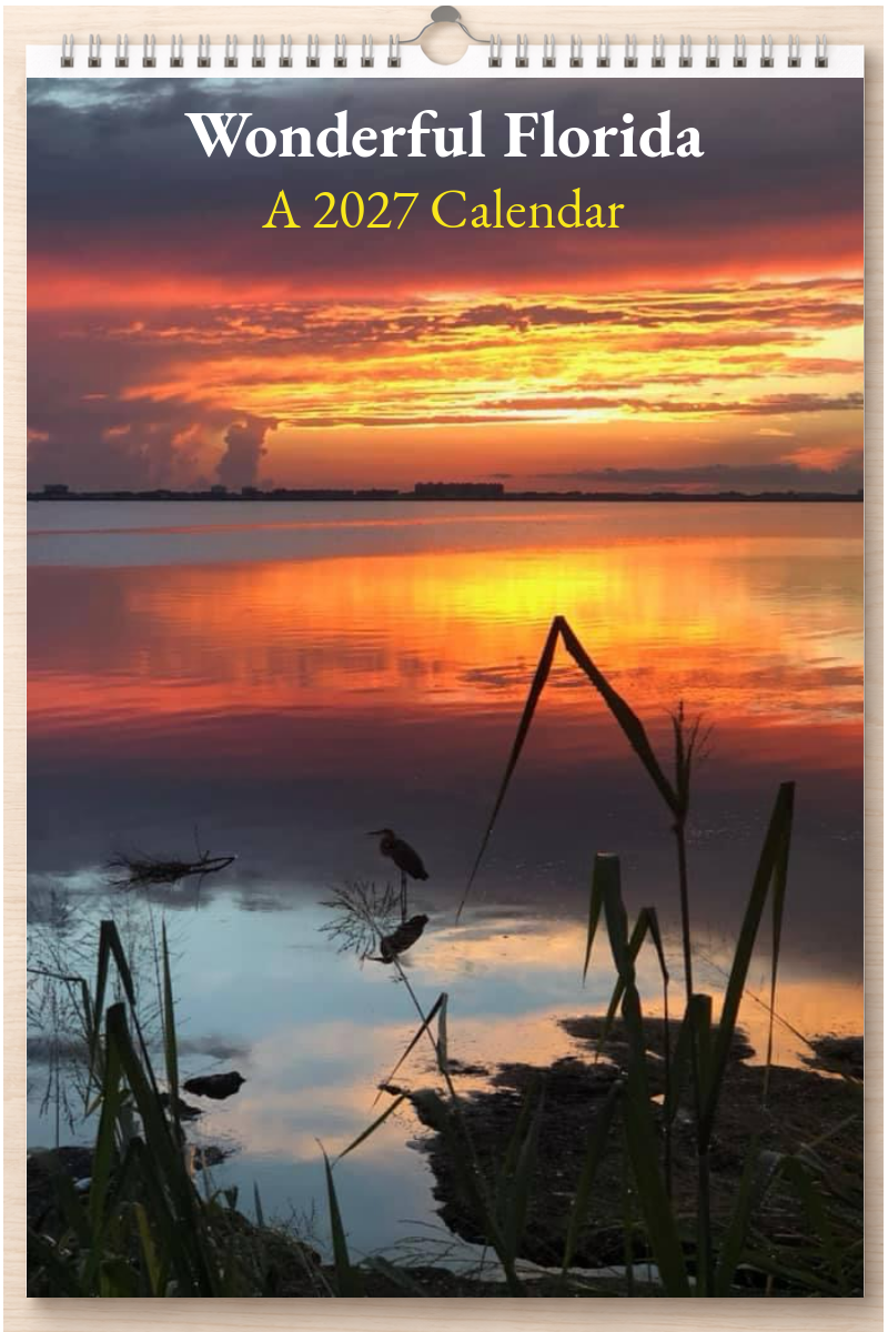 Wonderful Florida: A 2027 Calendar