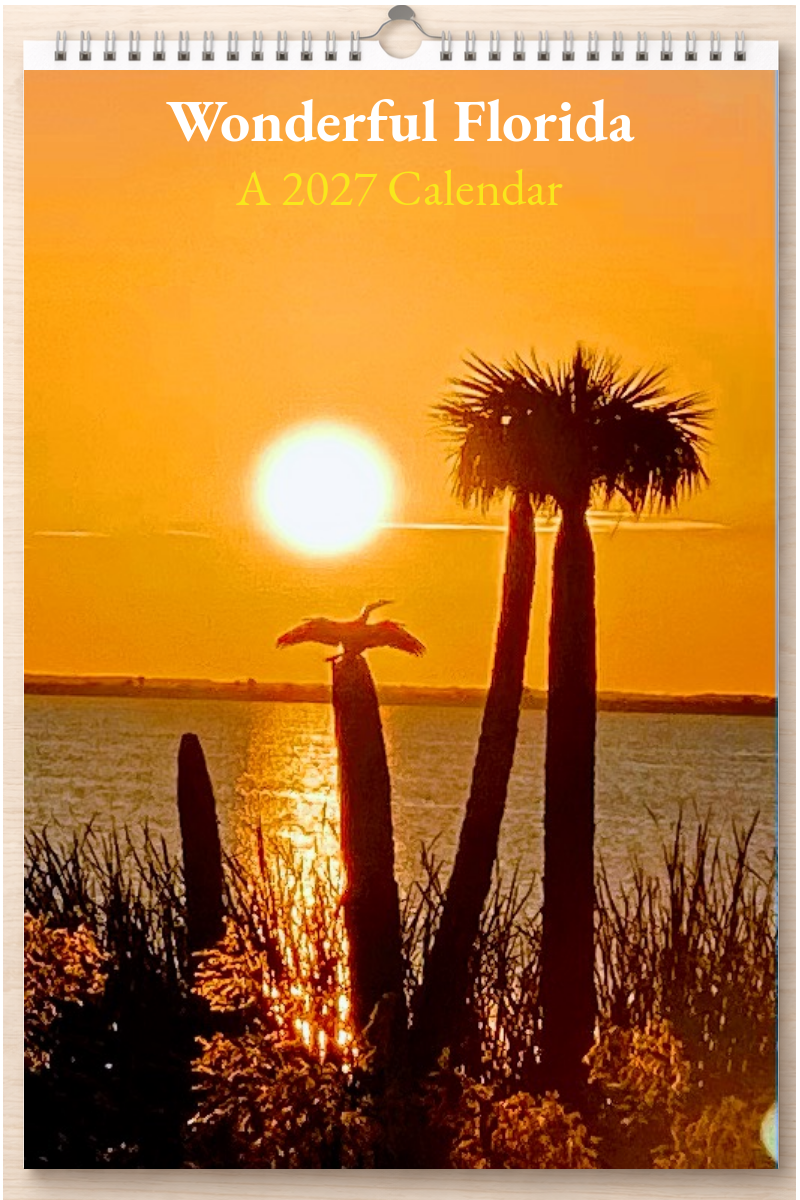 Wonderful Florida: A 2027 Calendar