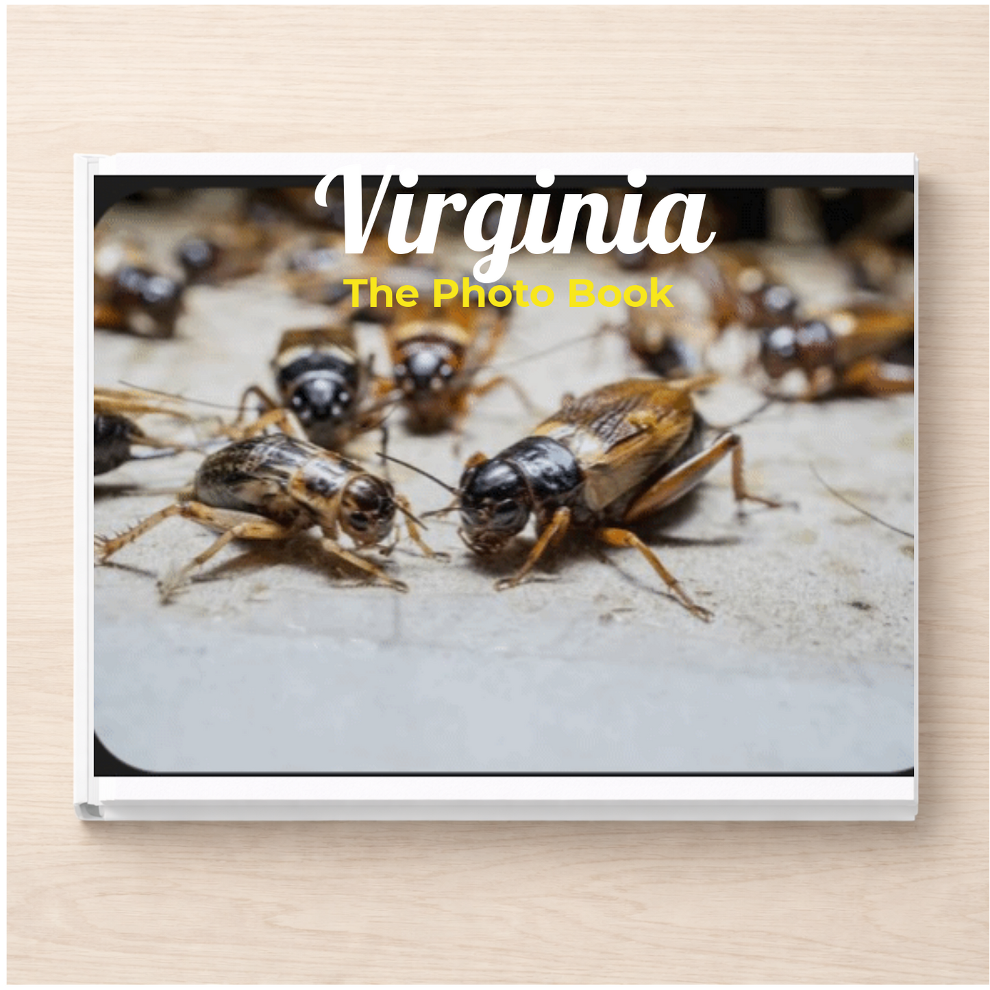 Virginia: The Photo Book