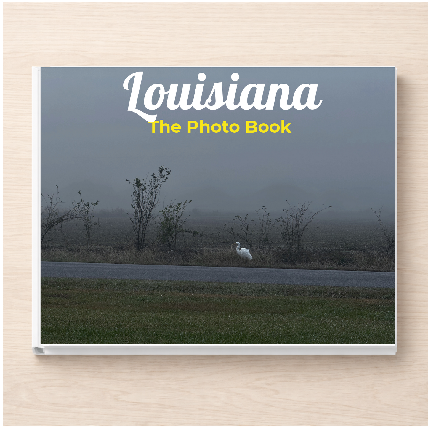 Louisiana: The Photo Book
