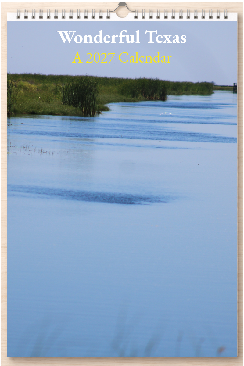 Wonderful Texas: A 2027 Calendar