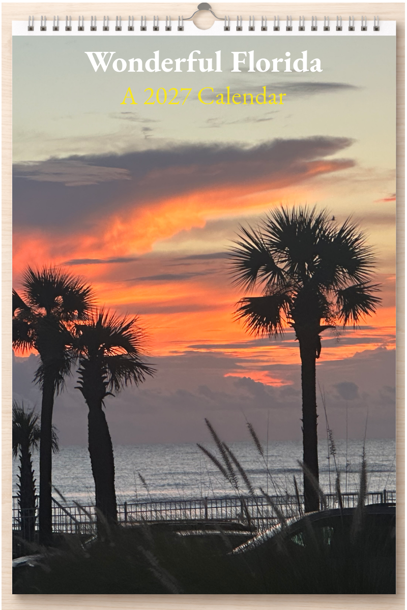 Wonderful Florida: A 2027 Calendar