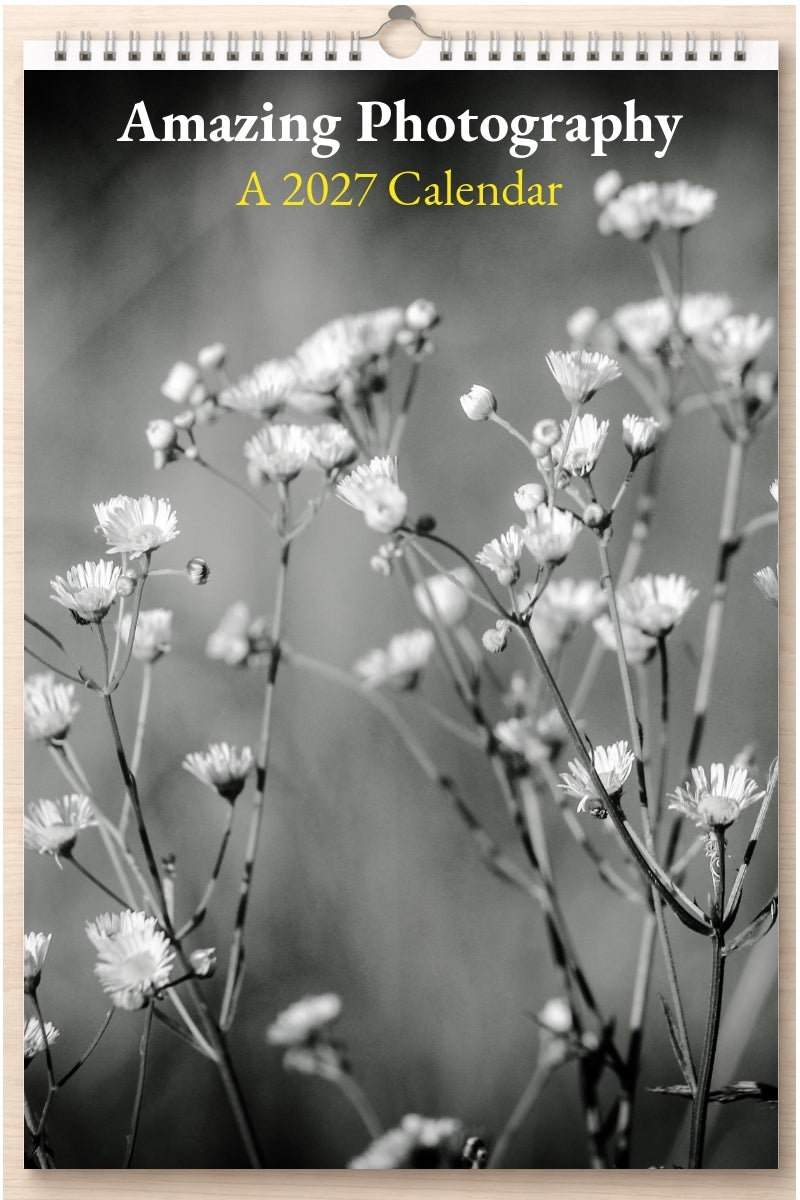 Amazing Photography: A 2027 Calendar