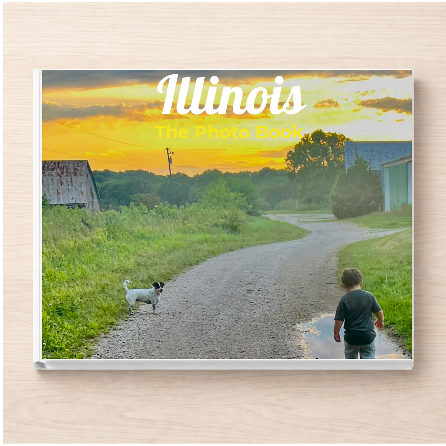 Illinois: The Photo Book