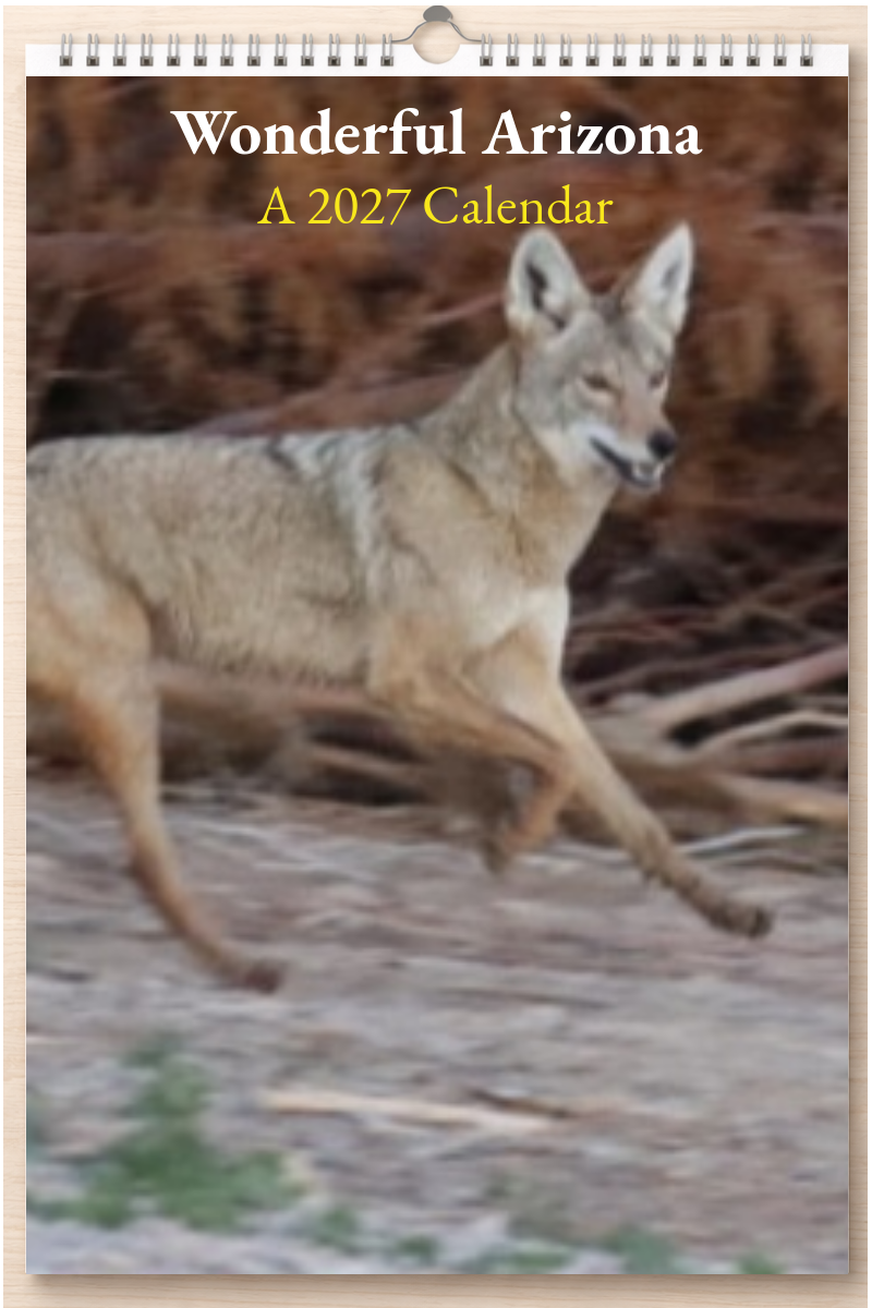 Wonderful Arizona: A 2027 Calendar