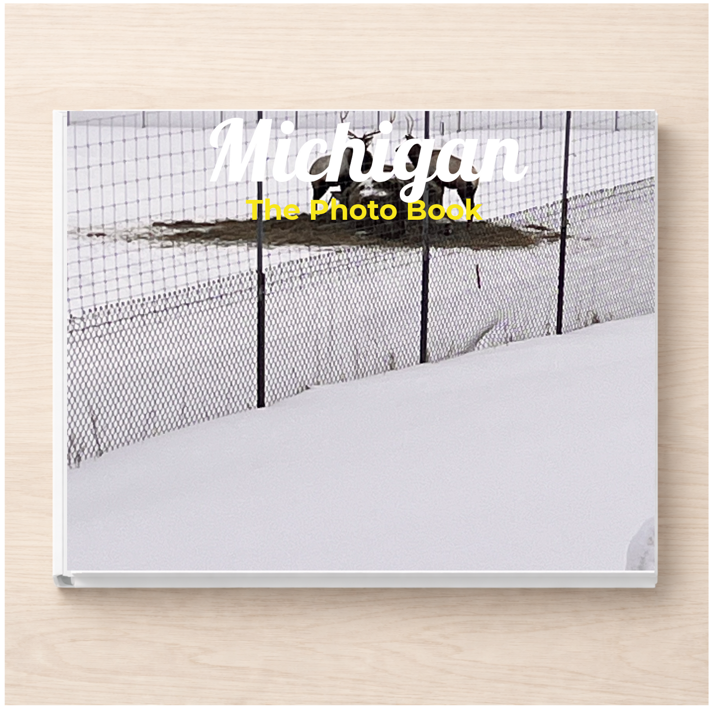 Michigan: The Photo Book