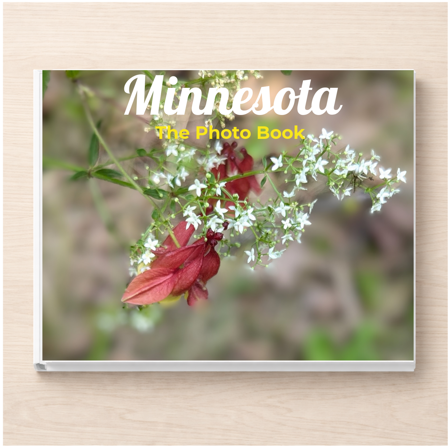 Minnesota: The Photo Book