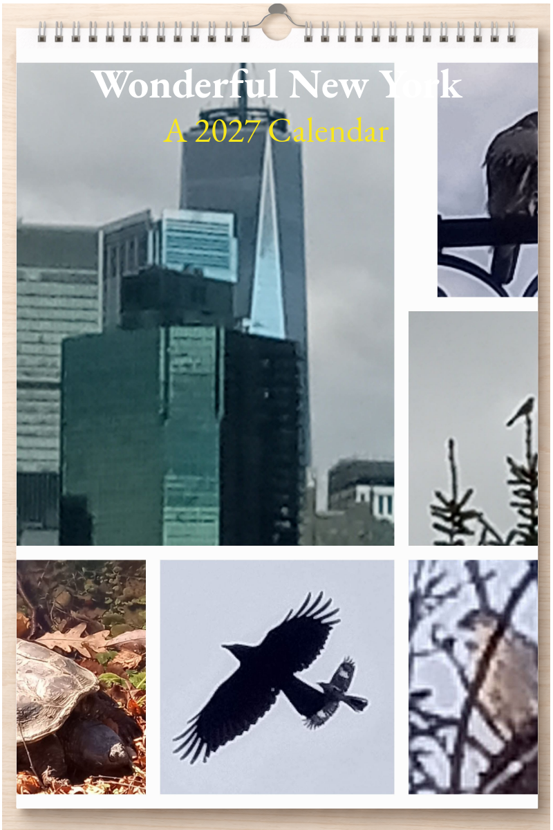 Wonderful New York: A 2027 Calendar