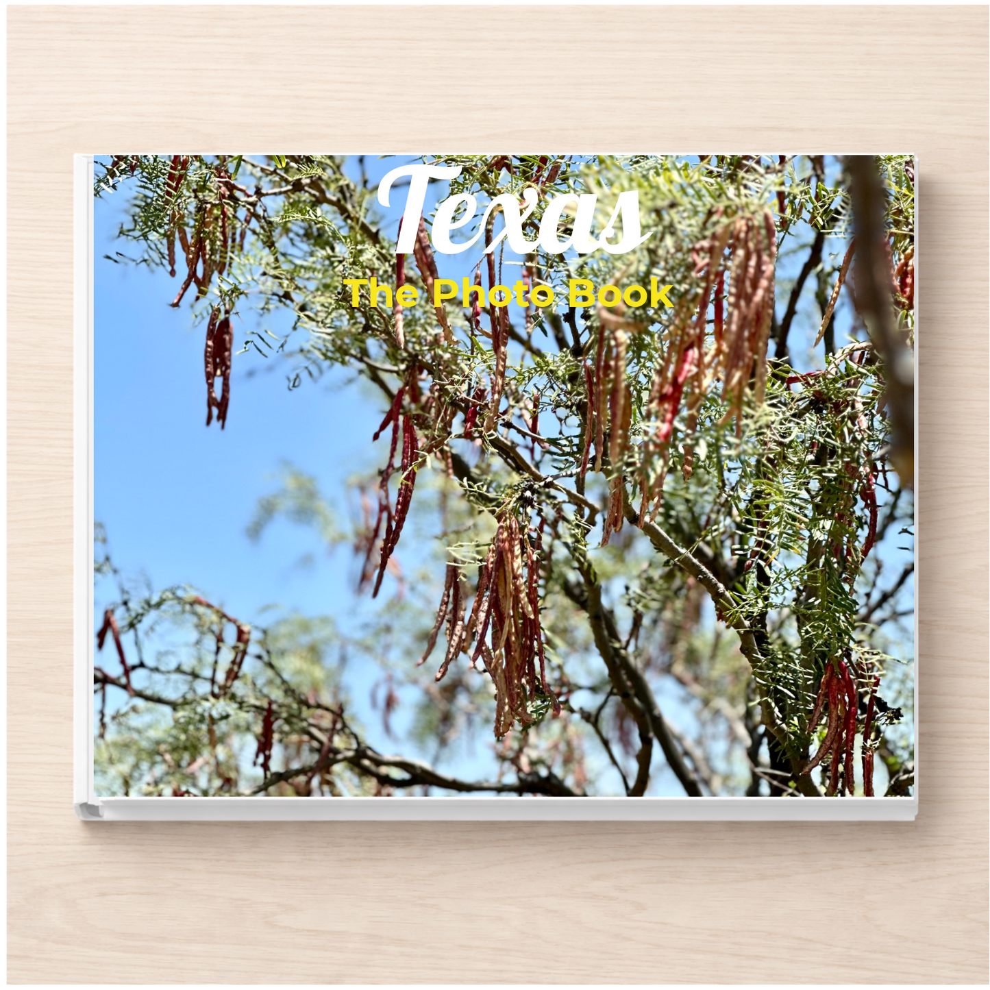 Texas: The Photo Book