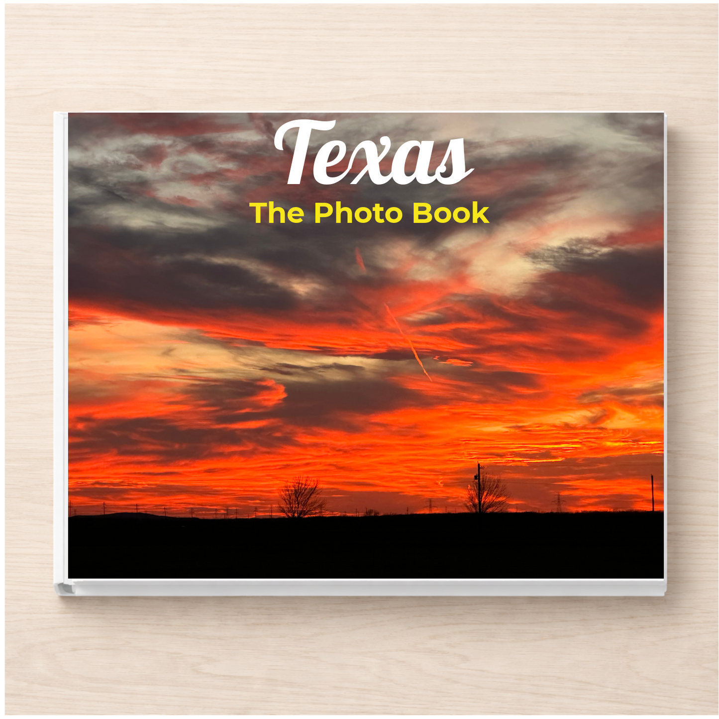 Texas: The Photo Book