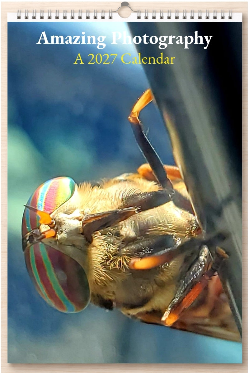 Amazing Photography: A 2027 Calendar