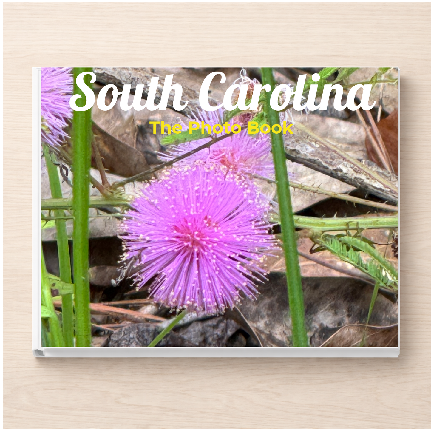 South Carolina: The Photo Book