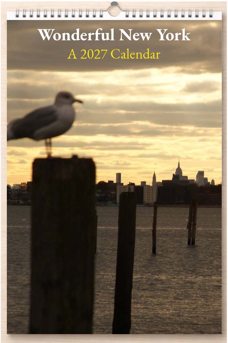Wonderful New York: A 2027 Calendar