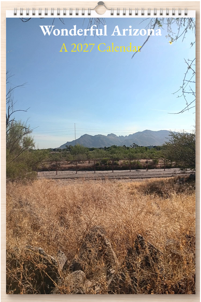 Wonderful Arizona: A 2027 Calendar