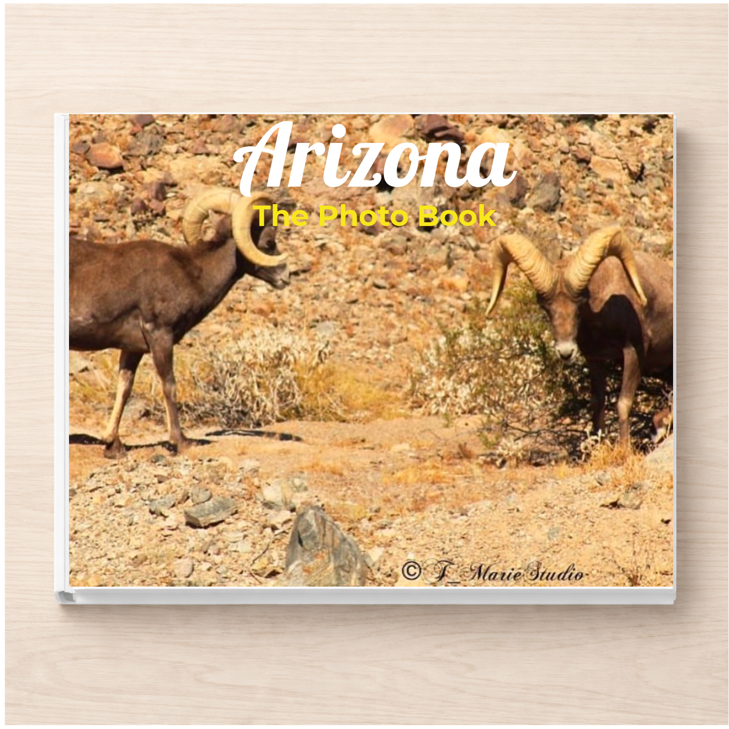 Arizona: The Photo Book